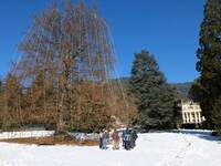 Immagine: lezione arboricoltura_levico