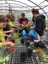 Image: lezioni ortoflorovivaismo alla FEM