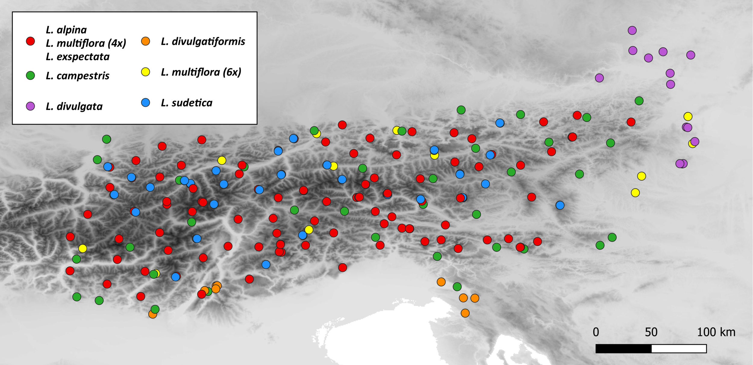 Image: Luzula_sampling_all_samples