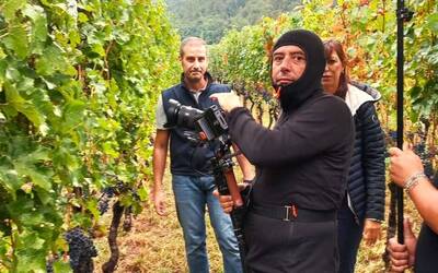 Image: M.V. Rossi Stacconi Linea Verde - striscia