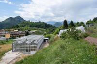 Immagine: Mirtilli-FEM-Foto-Marco-Parisi-5-DSC00400