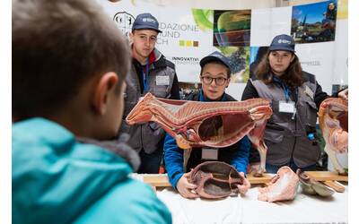 Image: MostraAgricoltura2018_Reportage-332Archivio APT Trento – foto R. Merler”