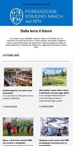 Image: newsletter preview