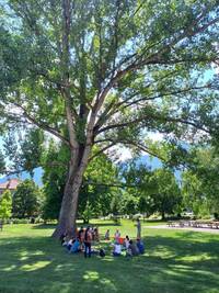 Immagine: parco -lezione coirso verde