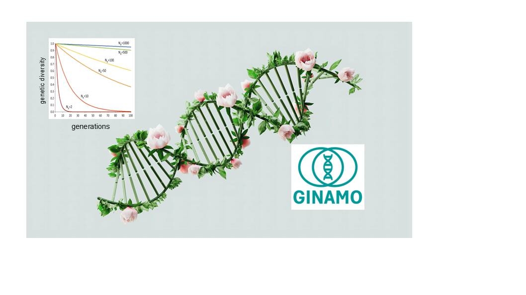 Image: pexels-googledeepmind-18069423