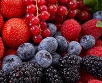 Immagine: piccoli frutti LR