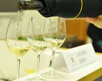 Image: piwi - rassegna