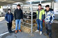 Image: porte aperte 24- area animali 2