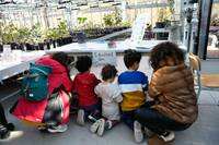 Image: porte aperte 24 nuove serre - laboratori famiglie