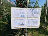 Immagine: Porte aperte Denno - 22 ago23 - 6