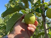 Image: Porte aperte Denno - 22 ago23