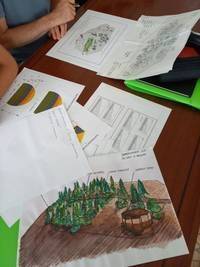 Image: progettazione-aiuole-corso-verde_medium