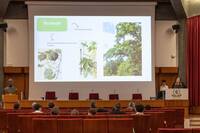 Image: progetto ambiente scuola presentazione