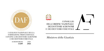 Image: Progetto senza titolo (25)