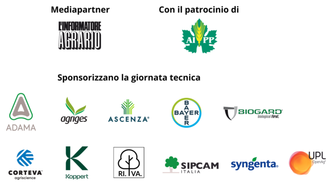 Image: Progetto senza titolo (7)