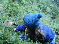 Image: PROGETTO SOIL2GUT