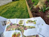 Immagine: progettualità aree verdi