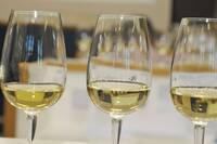 Image: rassegna piwi