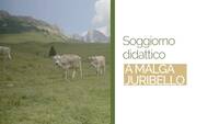 Image: Screenshot 2024-09-11 alle 12.40.57
