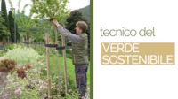 Image: Screenshot 2025-06-04 alle 14.19.24