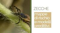 Image: Screenshot 2025-06-27 alle 15.08.54 (3)