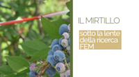 Image: Screenshot 2025-08-15 alle 10.08.30