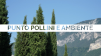Immagine: Screenshot 2025-09-24 alle 09.25.33