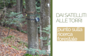 Immagine: Screenshot 2025-10-07 alle 12.01.00