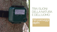 Immagine: Screenshot 2025-10-20 alle 07.43.04
