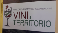 Immagine: Screenshot 2026-06-16 alle 14.08.36