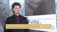 Image: Screenshot 2026-06-16 alle 14.09.44