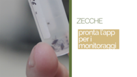Immagine: Screenshot 2026-06-25 alle 12.15.17