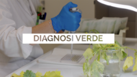 Immagine: Screenshot 2026-06-25 alle 12.16.45
