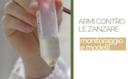 Immagine: Screenshot 2026-07-01 alle 15.03.48