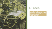 Immagine: Screenshot 2026-08-11 alle 16.16.29