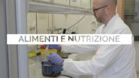 Immagine: Screenshot 2026-08-24 alle 18.27.37