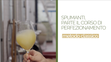 Immagine: Screenshot 2026-09-26 alle 00.03.39