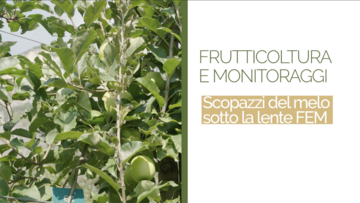 Immagine: Screenshot 2026-10-05 alle 13.38.57