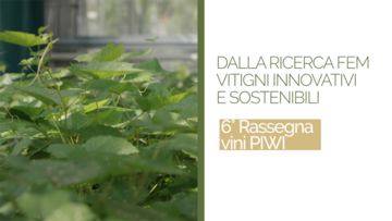 Immagine: Screenshot 2026-10-26 alle 13.27.08