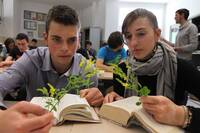 Immagine: scuola FEM - 4 