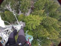 Image: Torre monitoraggio foreste a Lavarone FEM -