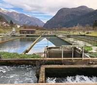 Immagine: unnamed (1)