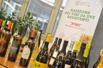 6^ Rassegna dei Vini Piwi