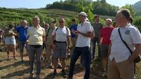 Immagine: Vite Bio_5 agosto 2026_2