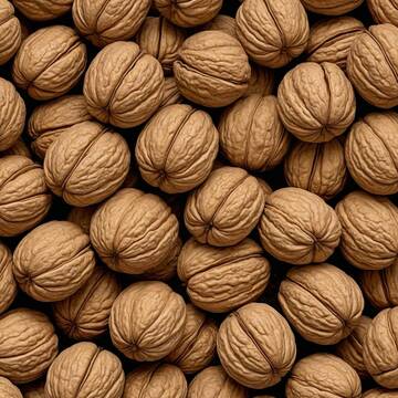 Technical Meeting at the Experimental Walnut Orchard