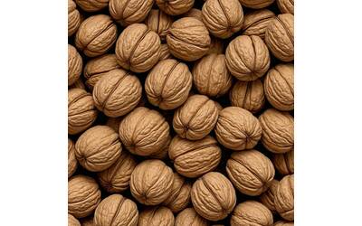 Image: walnuts-8869303_1280