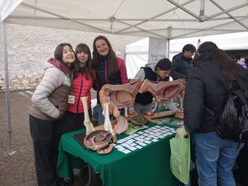 Immagine: WhatsApp Image 2026-03-15 at 11.05.52