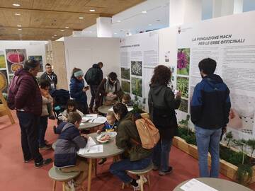 Immagine: WhatsApp Image 2026-03-18 at 15.05.26