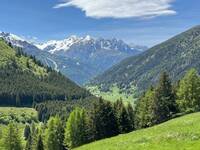 Immagine: WildSOUND_image3 lr
