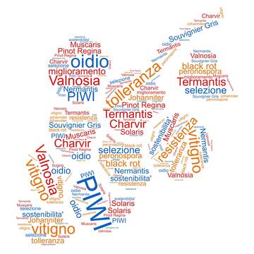 Vigneti PIWI: la nuova generazione targata CIVIT - FEM